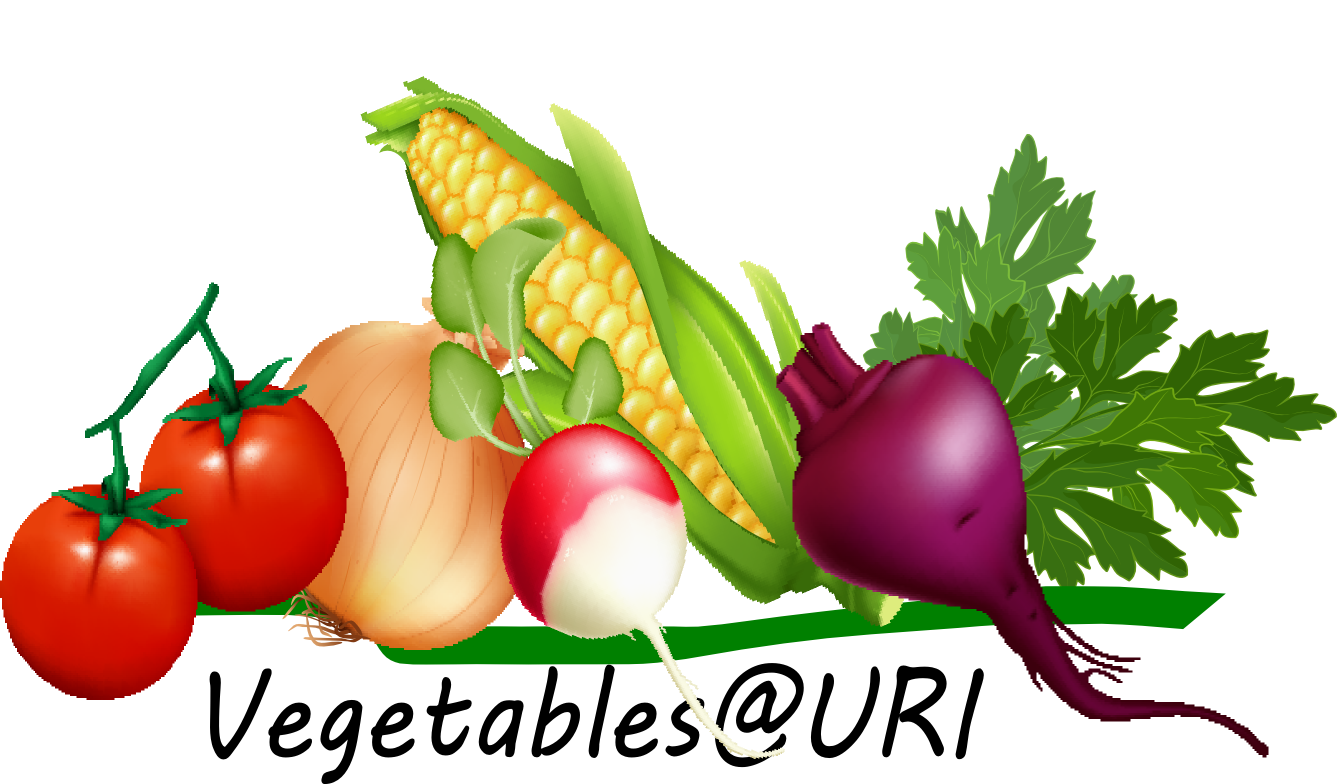 Vegetables at URI illustration